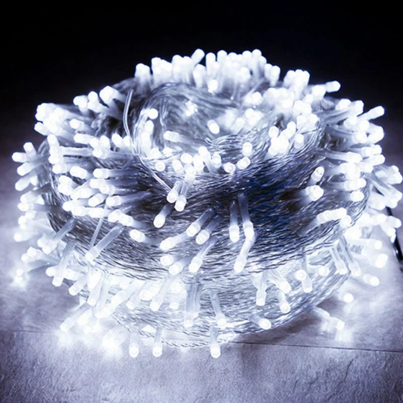 LED Light 10M 