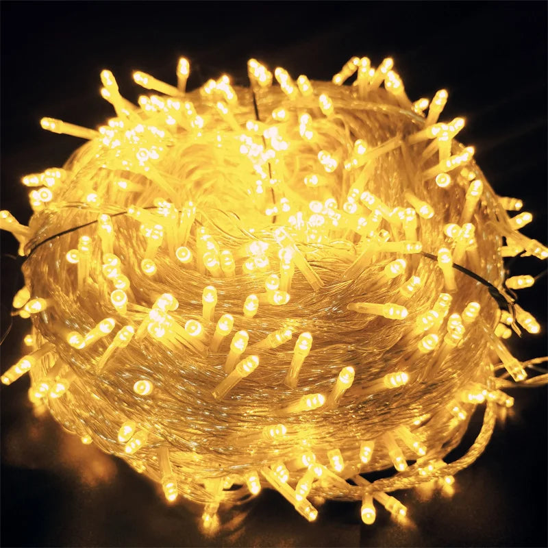 LED Light 10M 